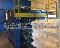 非標設(shè)計碼垛機